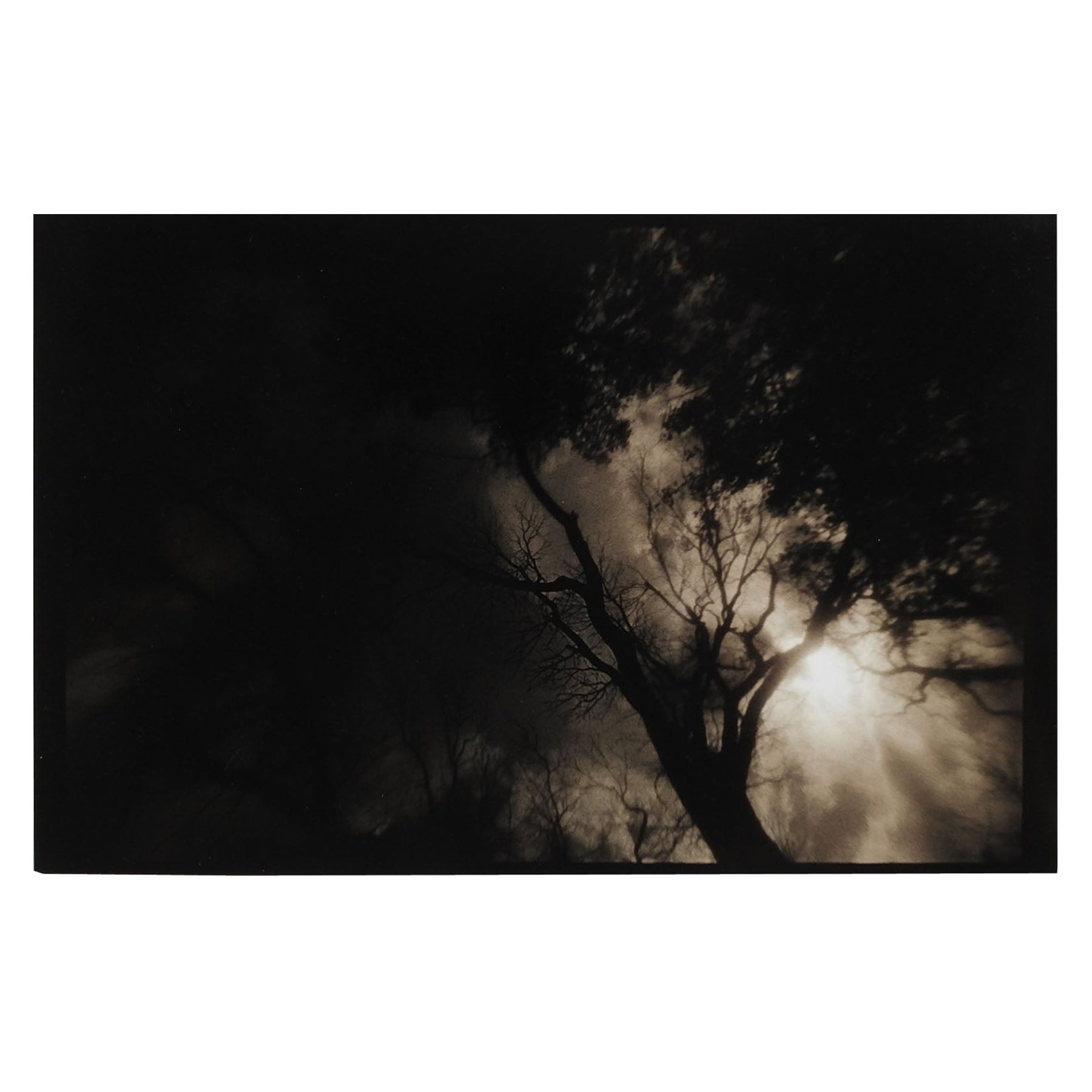 Vintage 1990's Sepia Toned Moody Sun & Tree Photograph