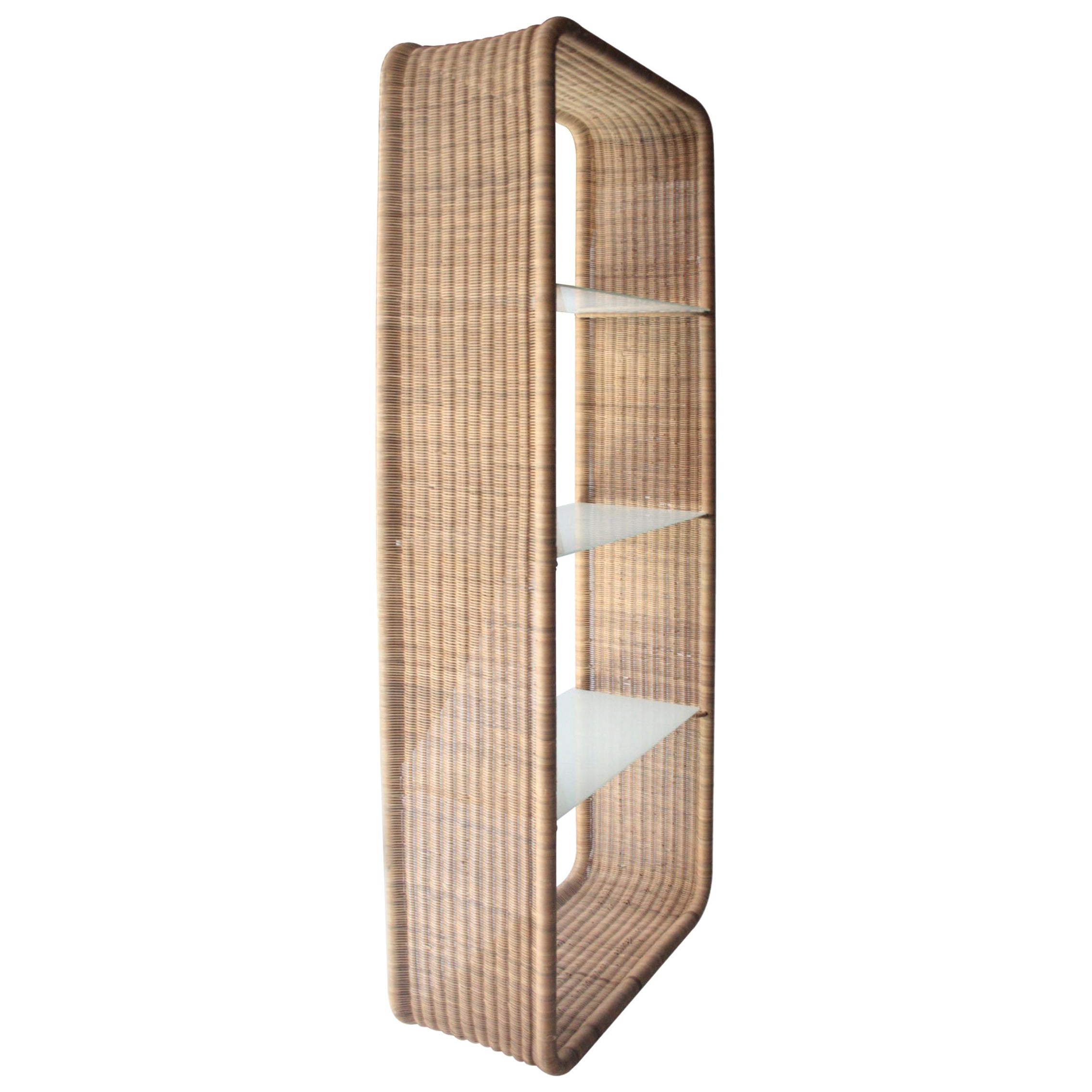 Mid-Century Wicker and Glass Shelving Unit, France, 1960 For Sale