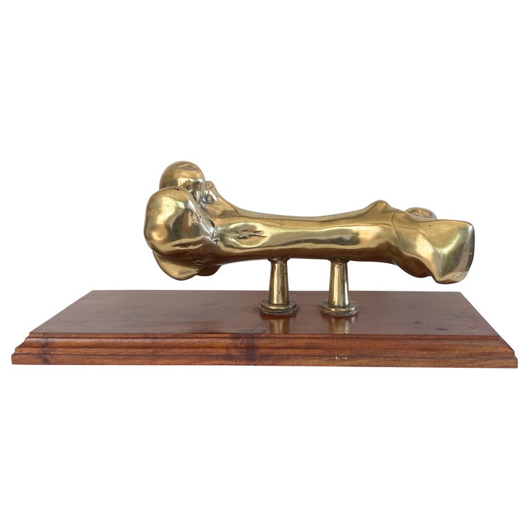 Solid Brass Bone Sculpture on a Wood Base For Sale at 1stDibs