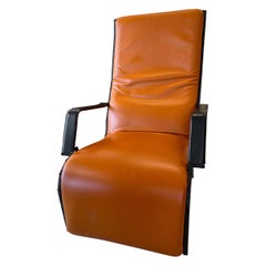 Retro Antropovarius Lounge Chair by Ferdinand Alexander Porsche for Poltrona Frau