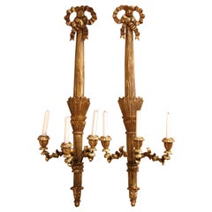 Pair of Retro French Louis XVI Carved Giltwood Three-Light Sconces