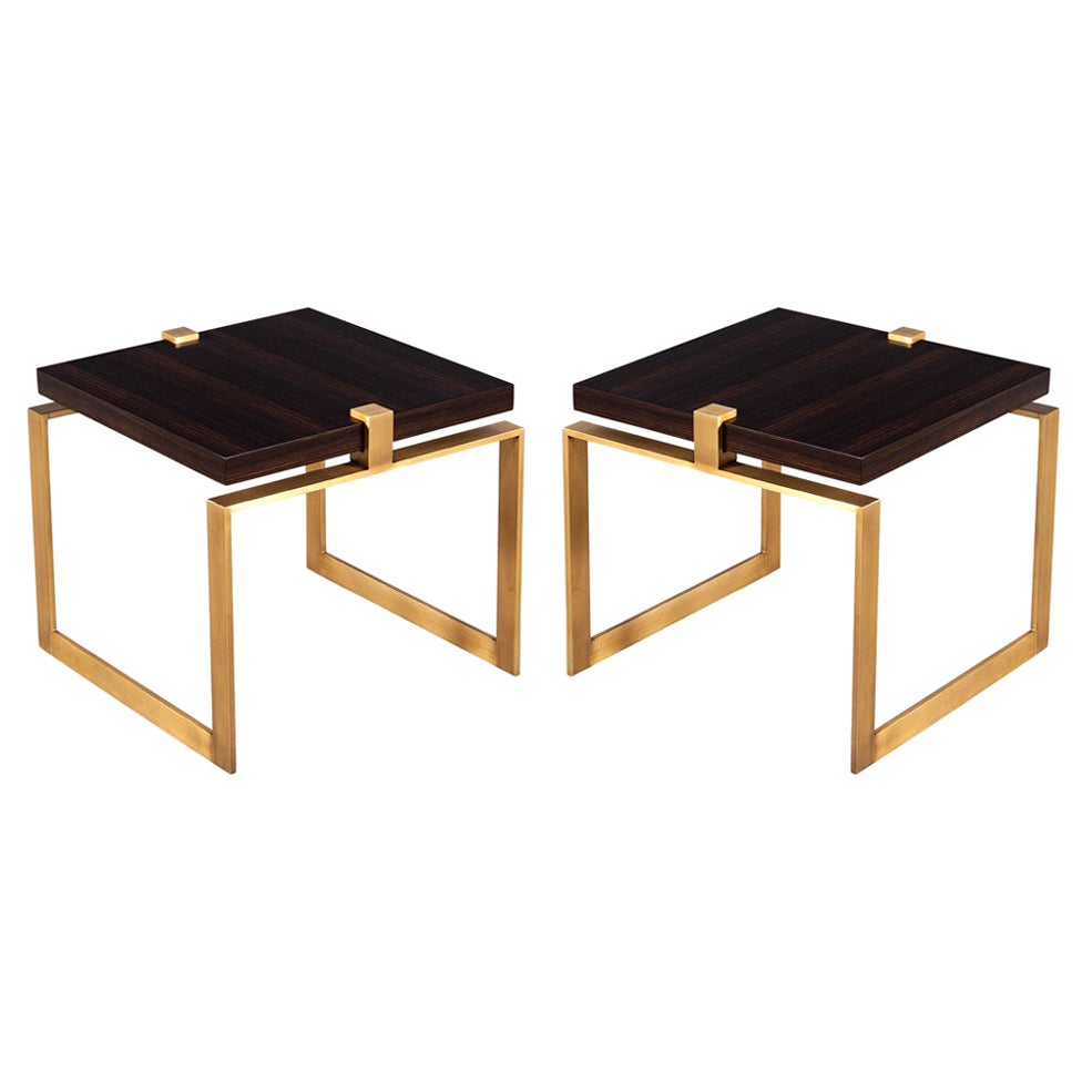 Pair of Modern Macassar and Brass End Tables For Sale