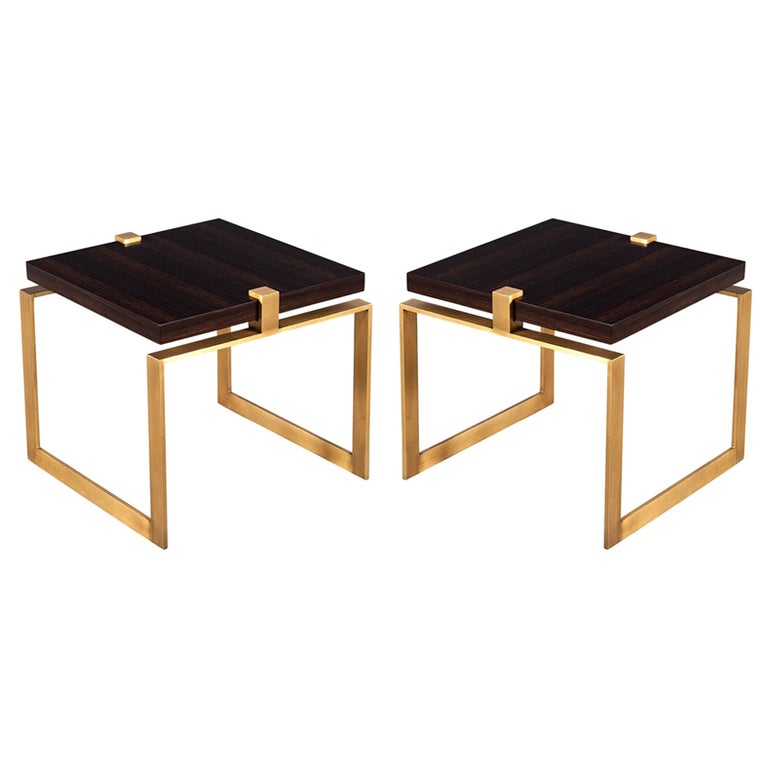Pair of Modern Macassar and Brass End Tables For Sale at 1stDibs