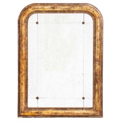 Antique 19th Century Gilt-wood Cut Mirror, Louis Philippe Style, Silvered Glass