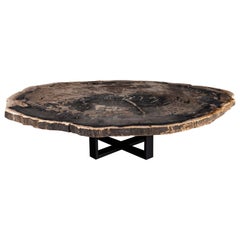 Table centrale ou table basse, de forme naturelle, bois pétrifié avec base en métal
