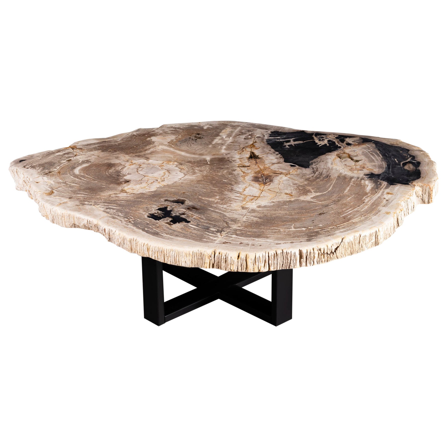Arizona Petrified Wood Table Artisan Made Base at 1stDibs