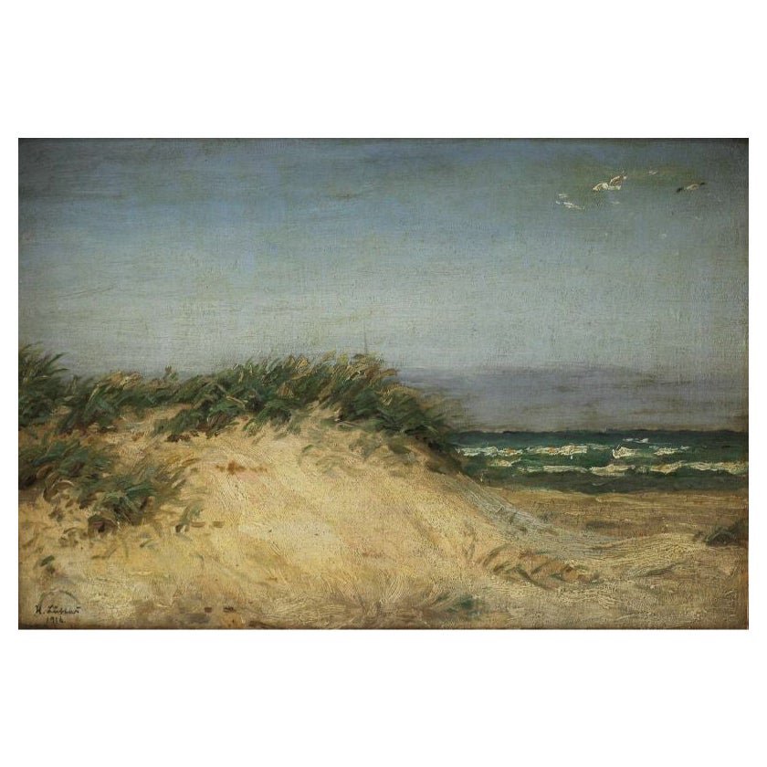 Oil Painting Seascape, Seashore Dunes by Holger Lubbers For Sale
