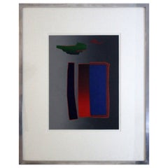 Deborah Remington Narth 1981 Signed Color Lithograph 17/40 Framed