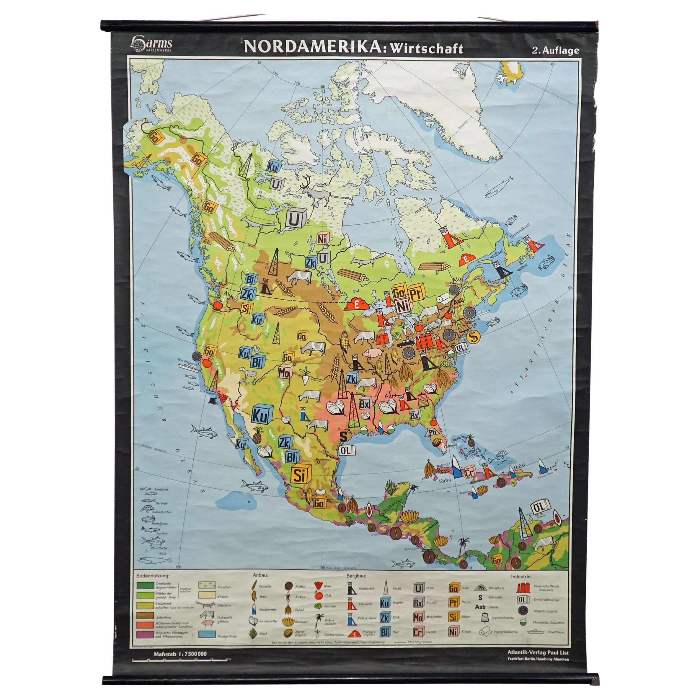 North America Map Economy Wall Chart Rollable Poster Vintage Mural For Sale