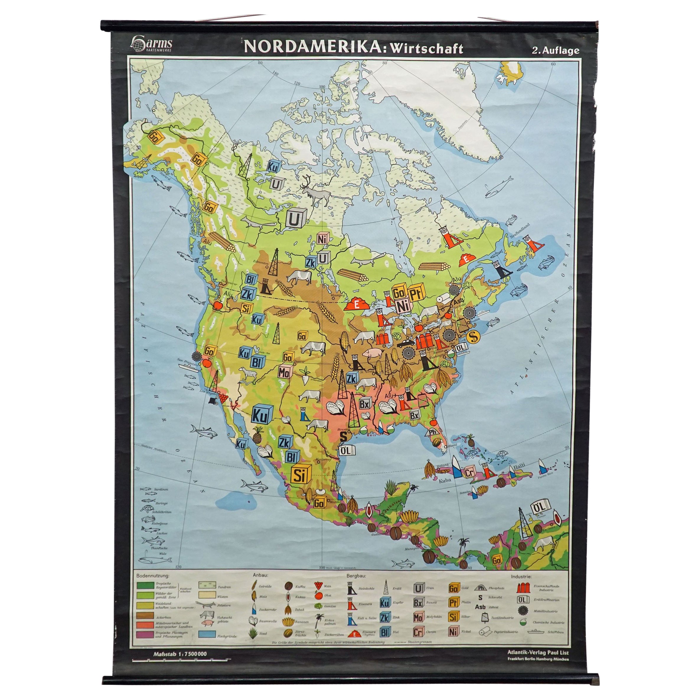 Mappa dell'America del Nord Economia Grafico murale Poster arrotolabile Murale d'epoca