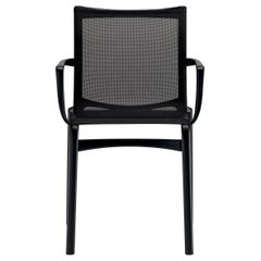 Alias Bigframe 44, Sessel aus schwarzem Netzgeflecht mit lackiertem Aluminiumrahmen