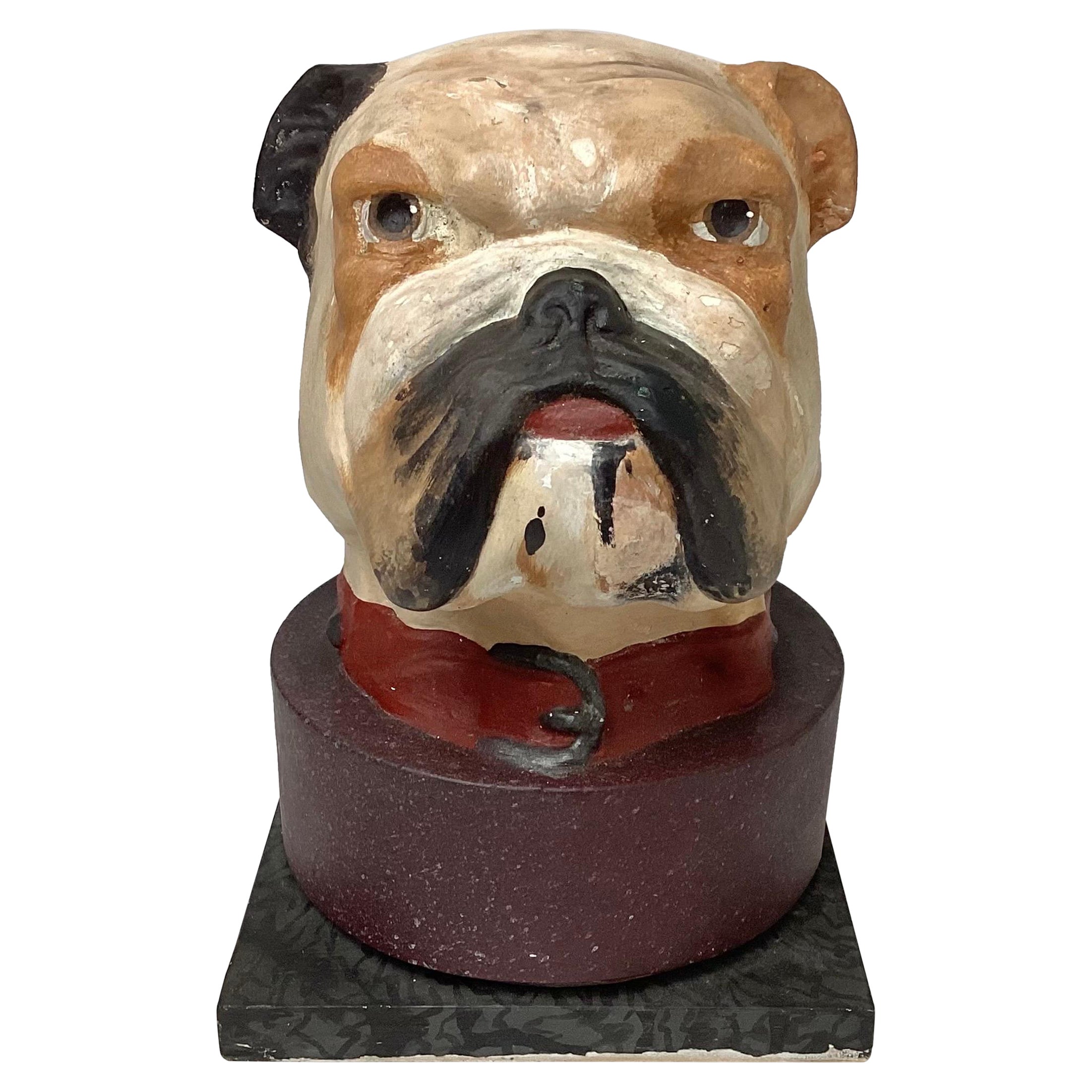 English Bulldog Head Papier-mâché Collar Box For Sale