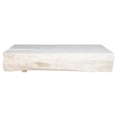 Monumental Bleached Lychee Wood Coffee Table