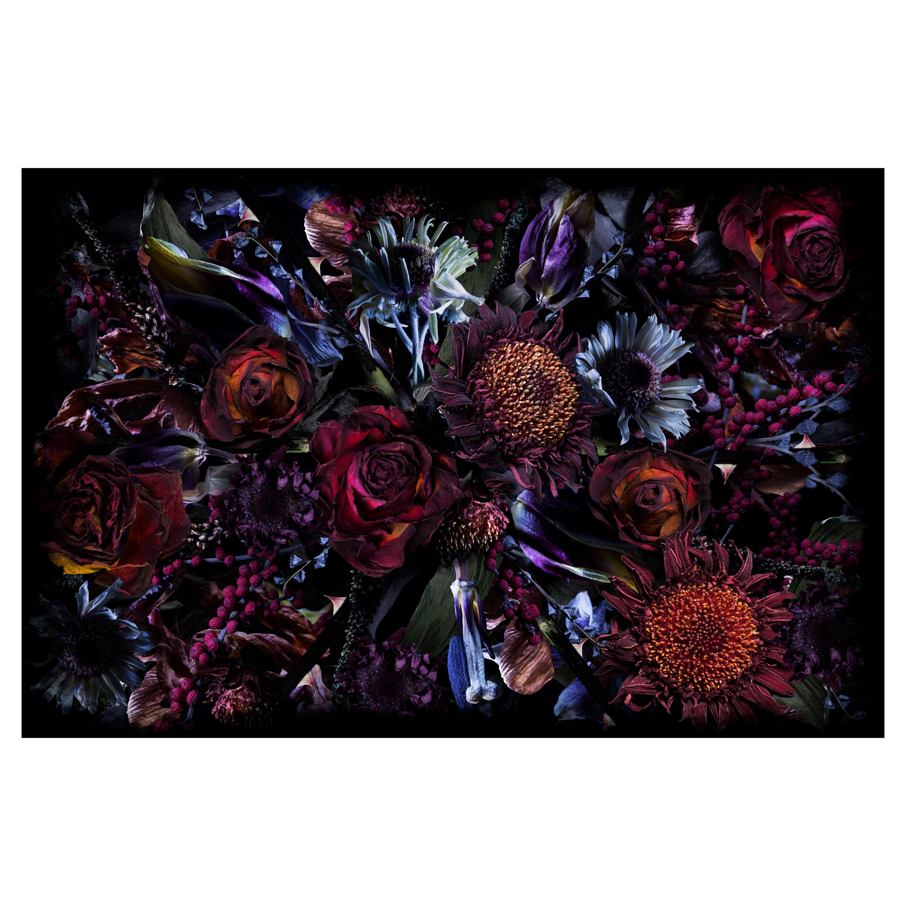 Moooi Small Fool’s Paradise Rectangle Rug in Low Pile Polyamide For Sale