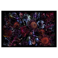Moooi Small Fool’s Paradise Rectangle Rug in Low Pile Polyamide