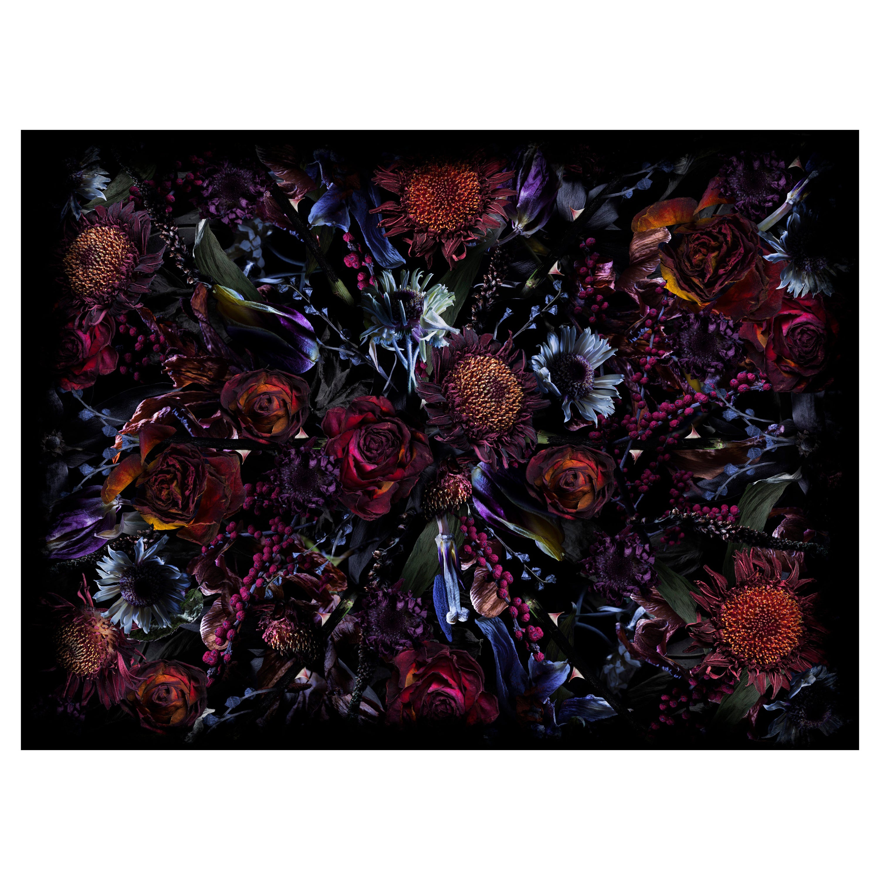 Moooi Large Fool’s Paradise Rectangle Rug in Low Pile Polyamide For Sale