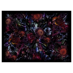 Moooi Large Fool’s Paradise Rectangle Rug in Wool by Marcel Wanders Studio