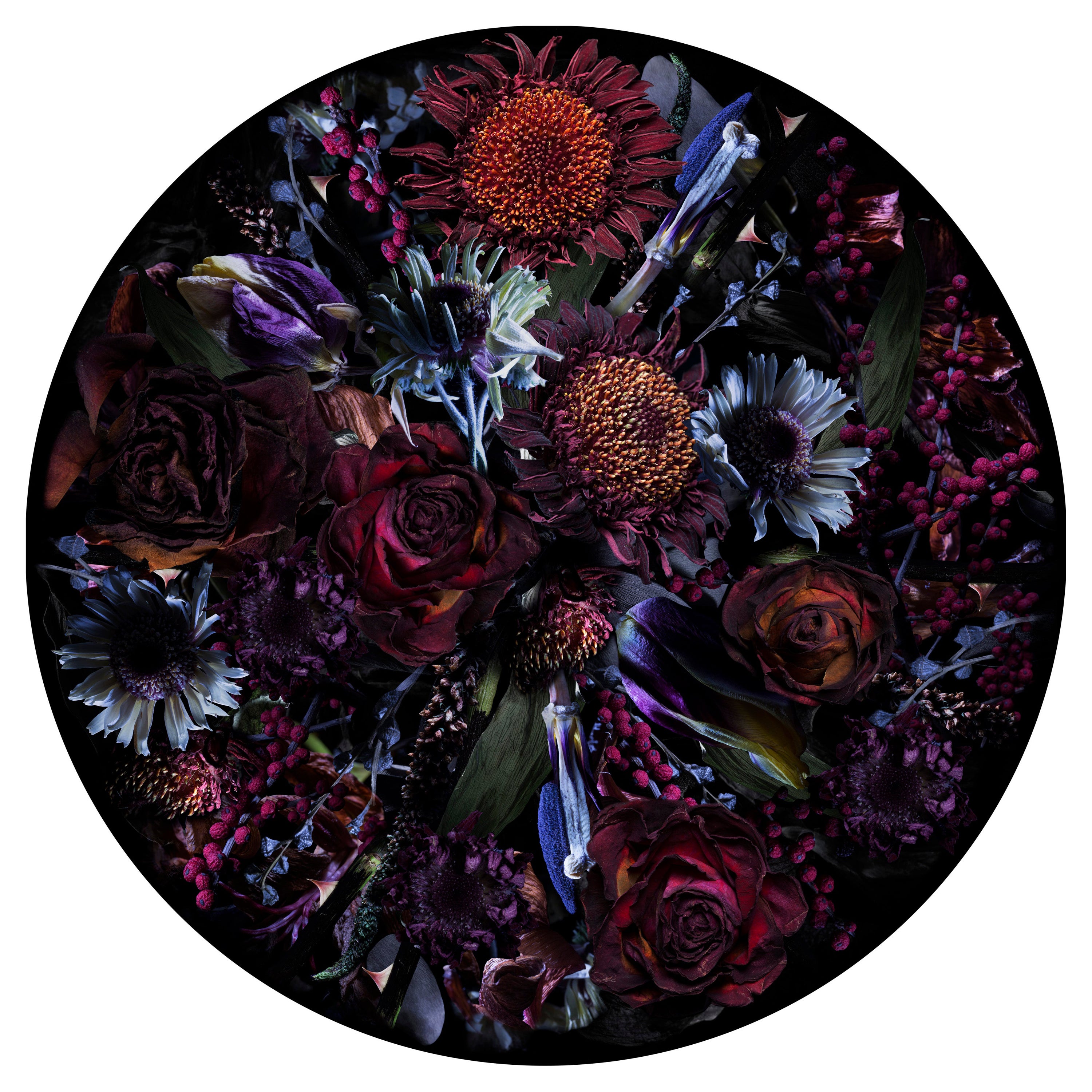 Moooi Small Fool’s Paradise Round Rug in Low Pile Polyamide For Sale