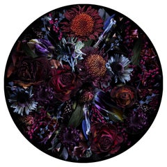 Moooi Small Fool's Paradise Tapis rond en polyamide à faible poil