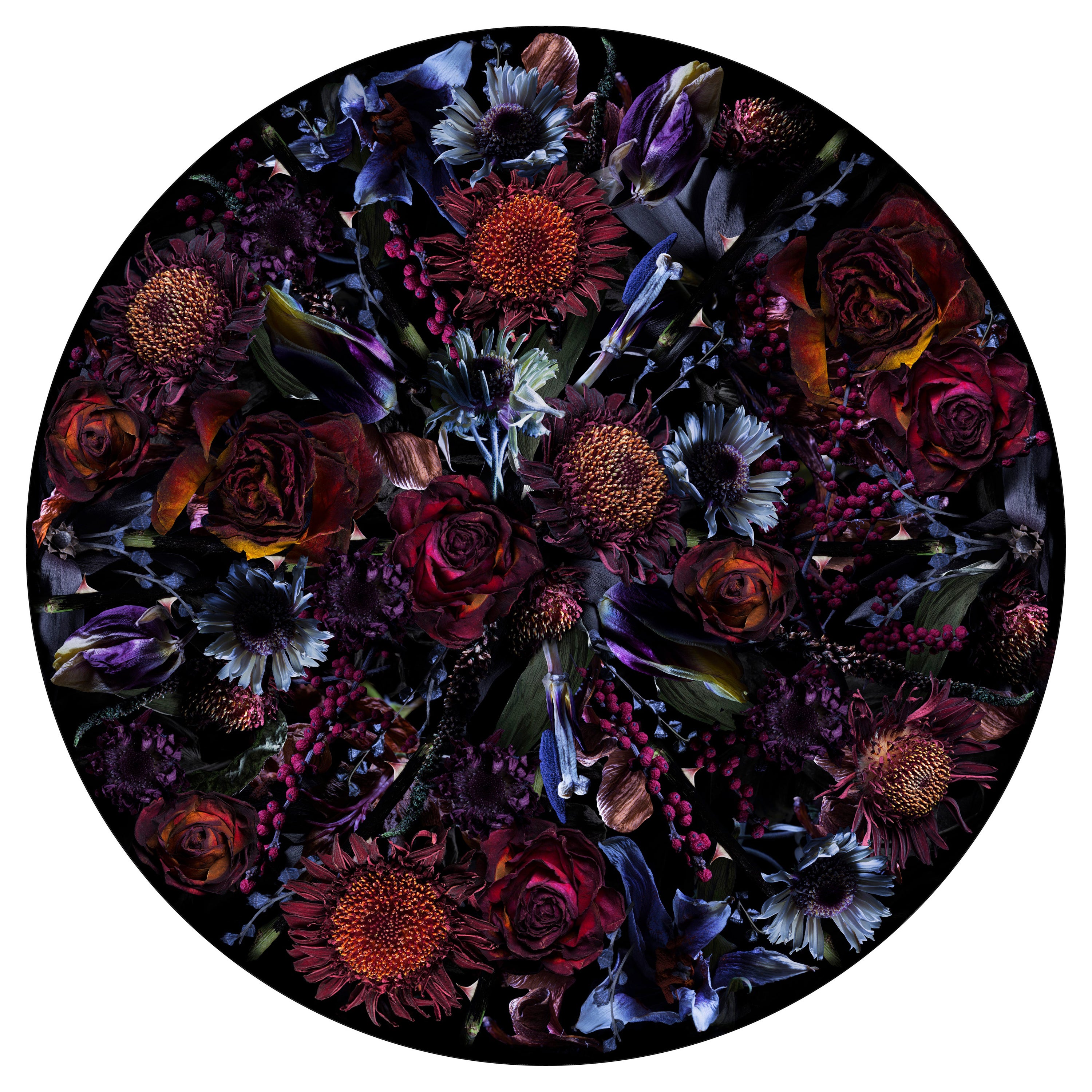 Moooi Large Fool’s Paradise Round Rug in Low Pile Polyamide For Sale