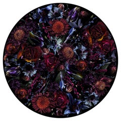 Moooi Large Fool's Paradise Round Rug in Wool par Marcel Wanders Studio