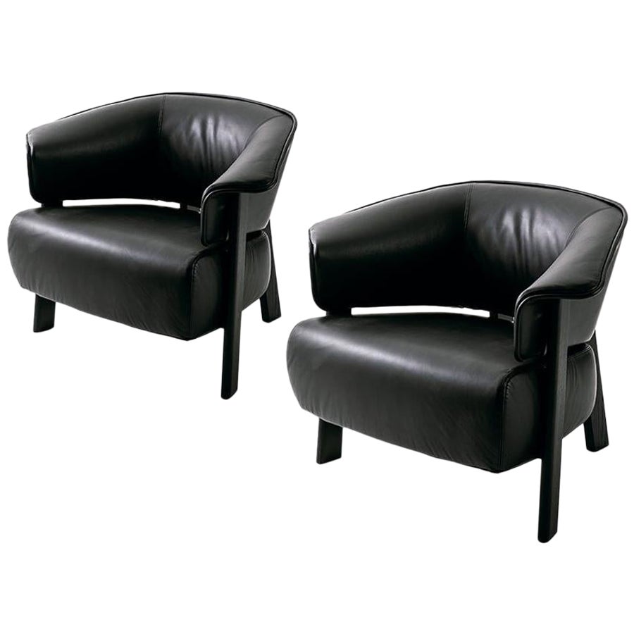 Set of Two ''Back-Wing Armchair' by Patricia Urquiola For Sale