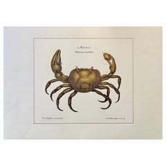 Contemporary Italian "Marina" Print with Press Engraving on Pure Gold Leaf