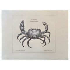 Zeitgenössischer italienischer ""Marina"-Druckdruck mit Pressgravur auf reinem Blattsilber, 1 von 4