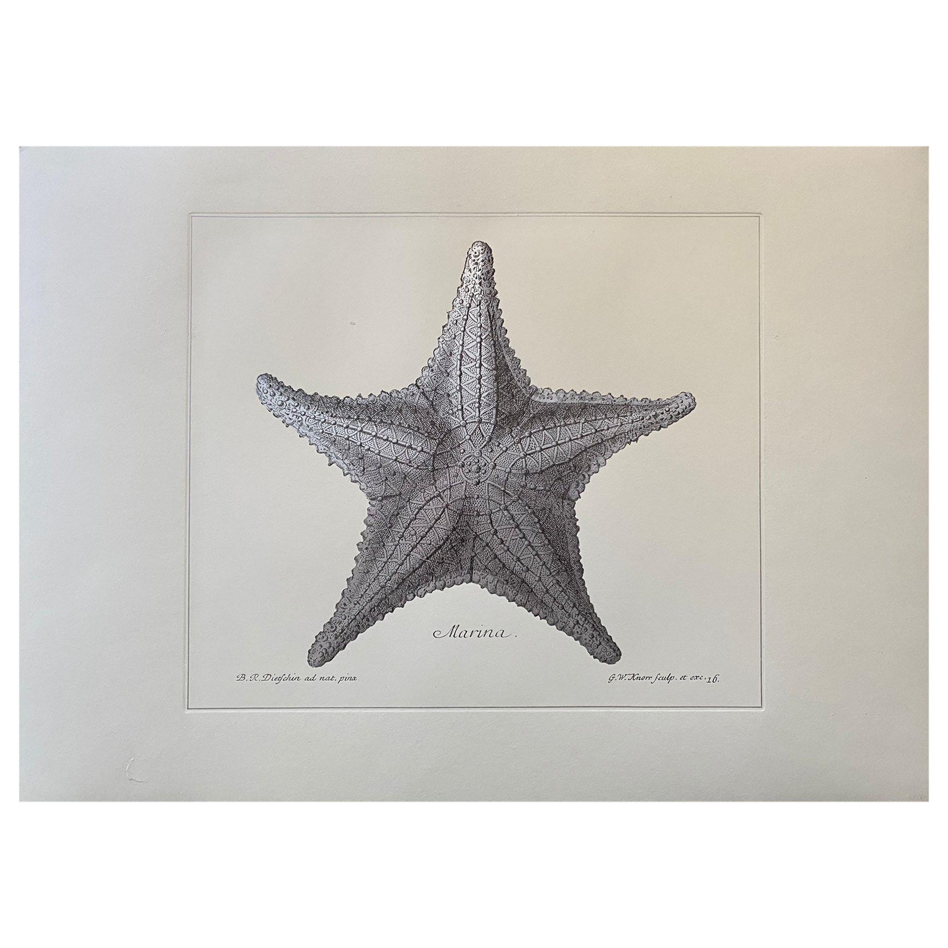 Contemporary Italian "Marina" Print Press Engraving on Pure Silver Leaf, 2 of 4