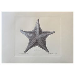 Contemporary Italian "Marina" Print Press Engraving on Pure Silver Leaf, 2 of 4