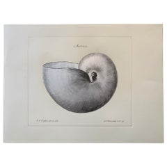 Contemporary Italian "Marina" Print Press Engraving on Pure Silver Leaf, 3 of 4