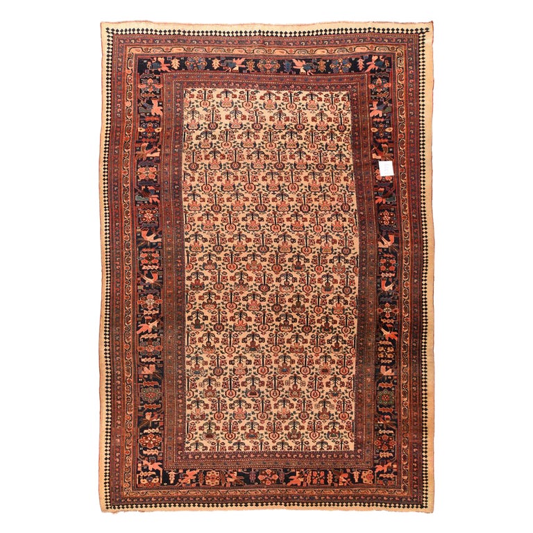 Bidjar Rug For Sale at 1stDibs