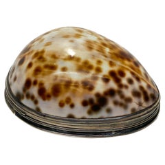 Scottish Sterling Silver Cowry Shell Snuff Box, George III, 1799