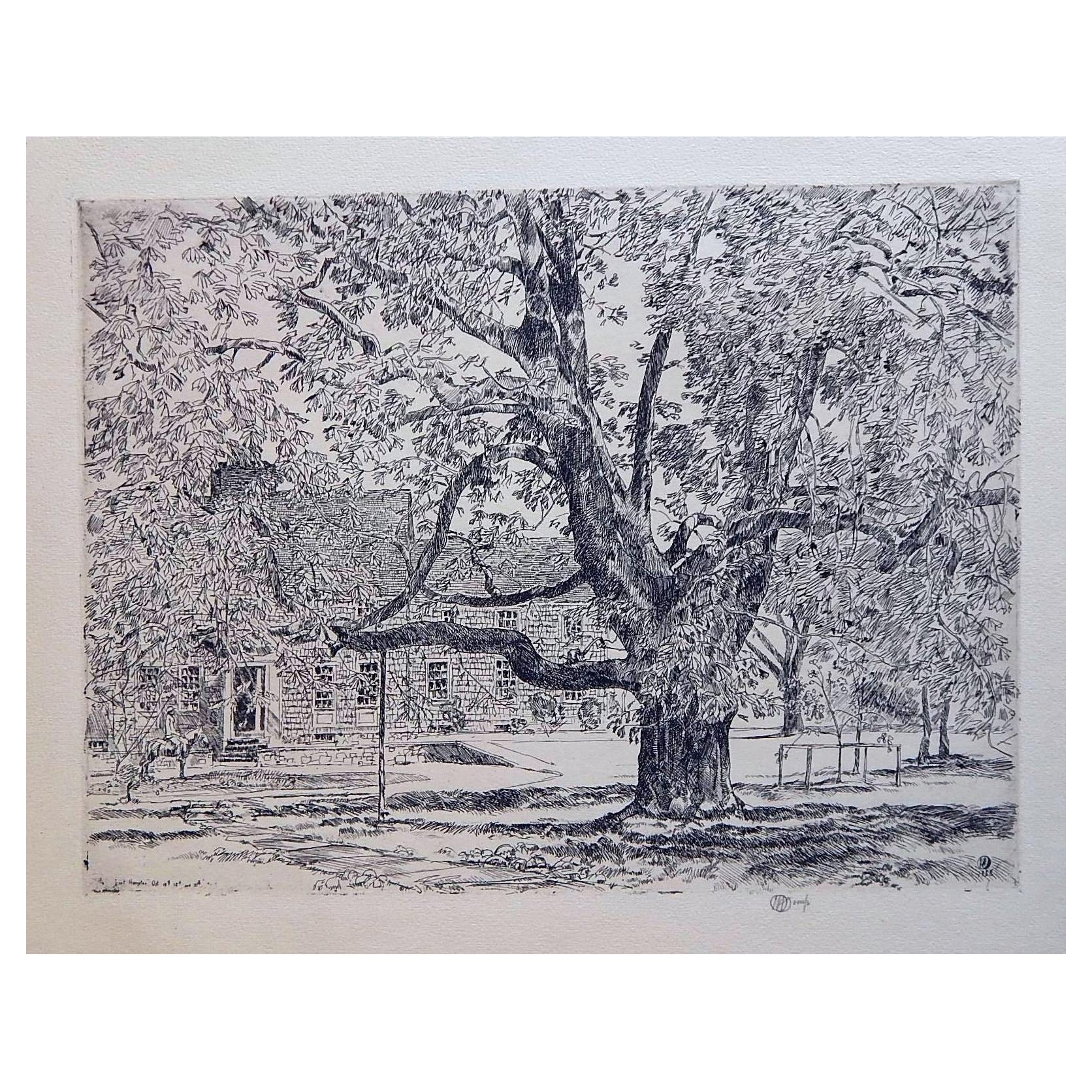 Childe Hassam Original Etching, 1928, “The Big Horse Chestnut Tree”