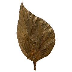 Large Rhubarb Leaf Brass Wall Light or Sconce by Tommaso Barbi, 1970s