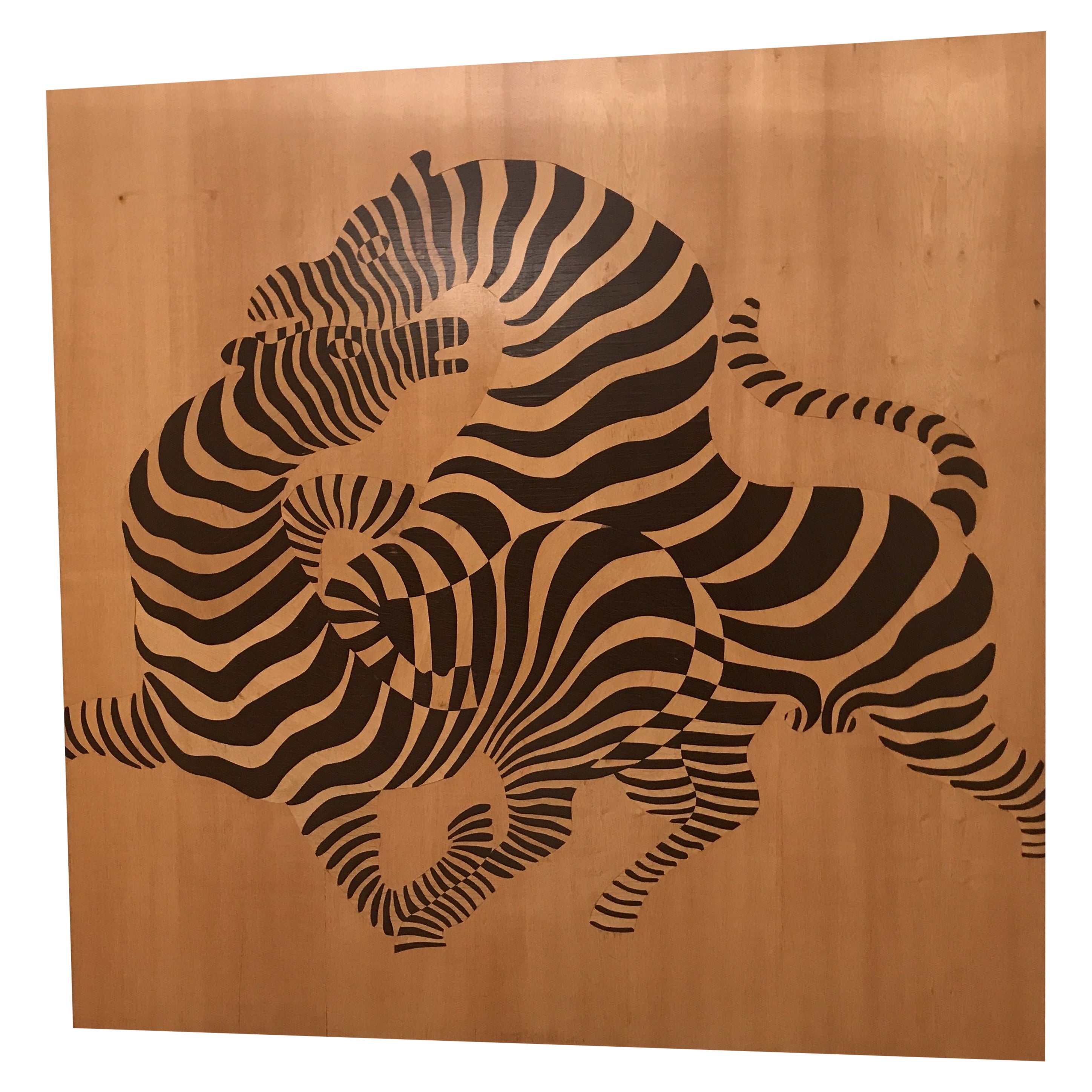 Amaizing Marquetry Optical Zebras, 1950, France, Material: Wood For Sale