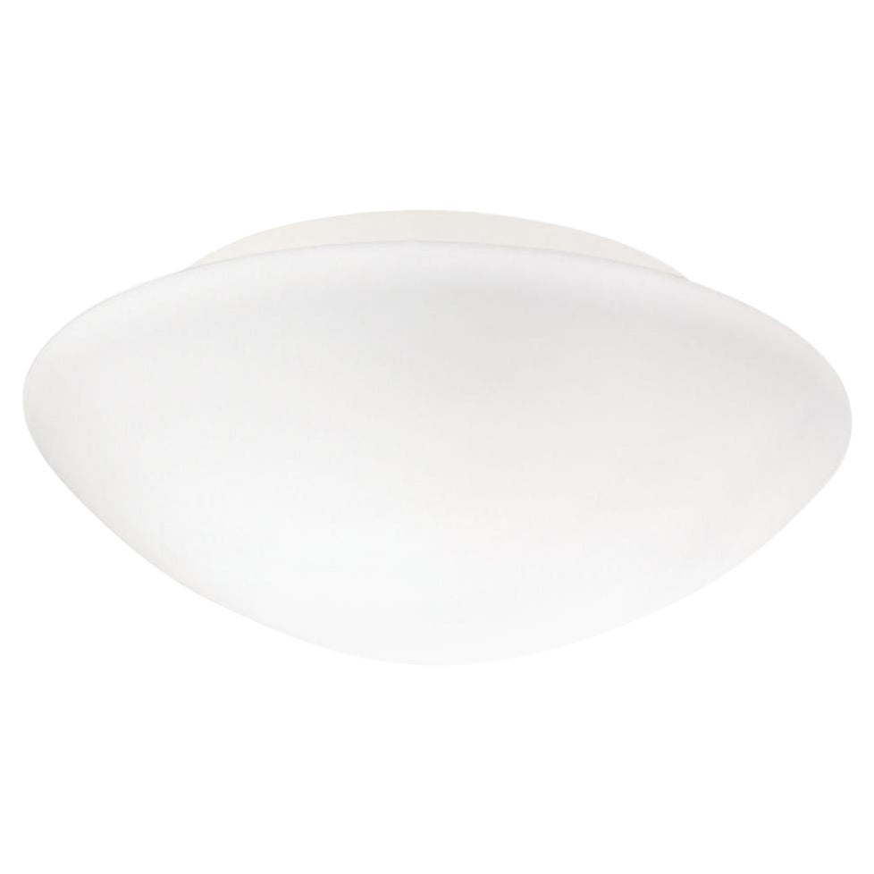 'Janeiro K' Wall or Ceiling Lamp for Nemo