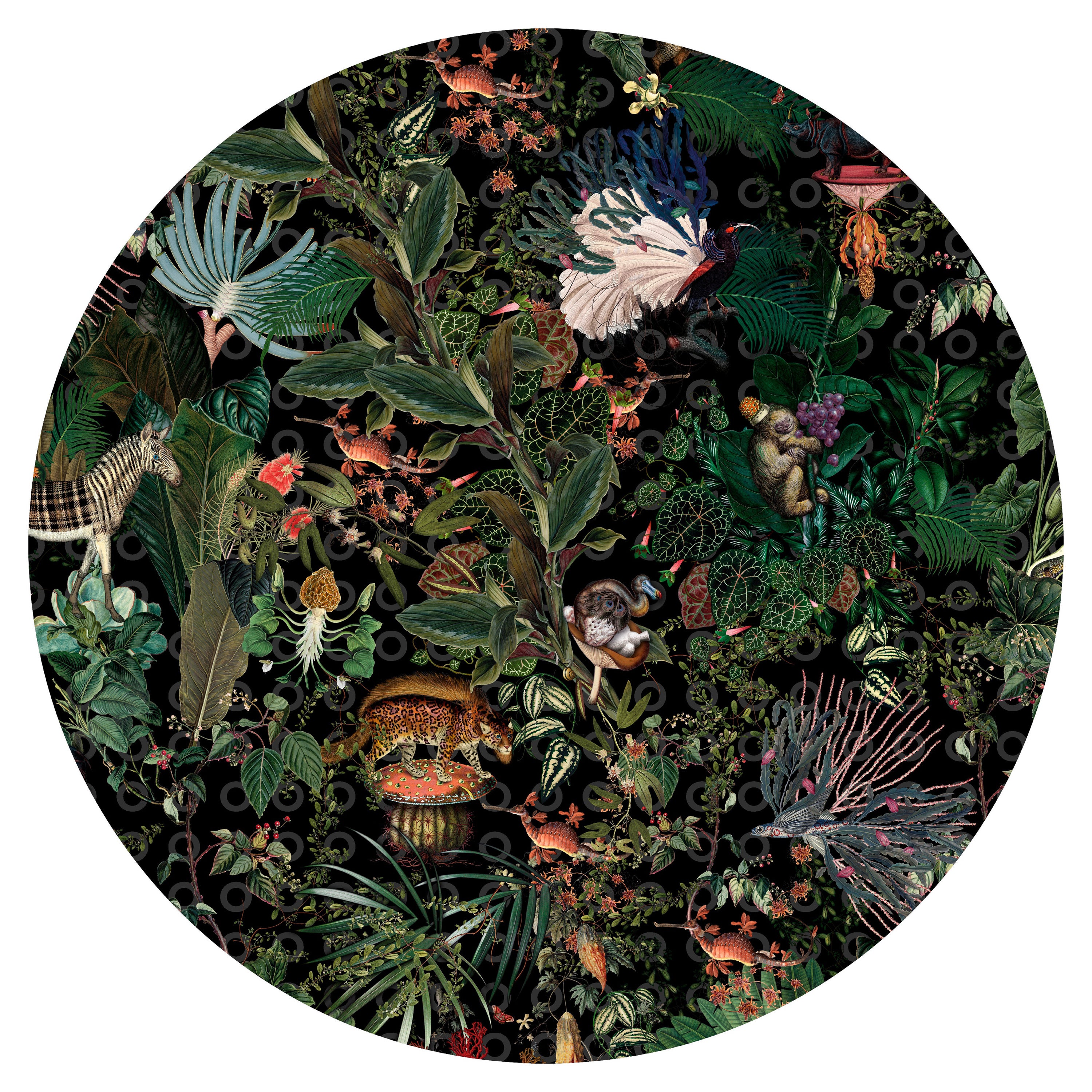 Moooi Small Extinct Animals Raven Round Rug in Wool For Sale