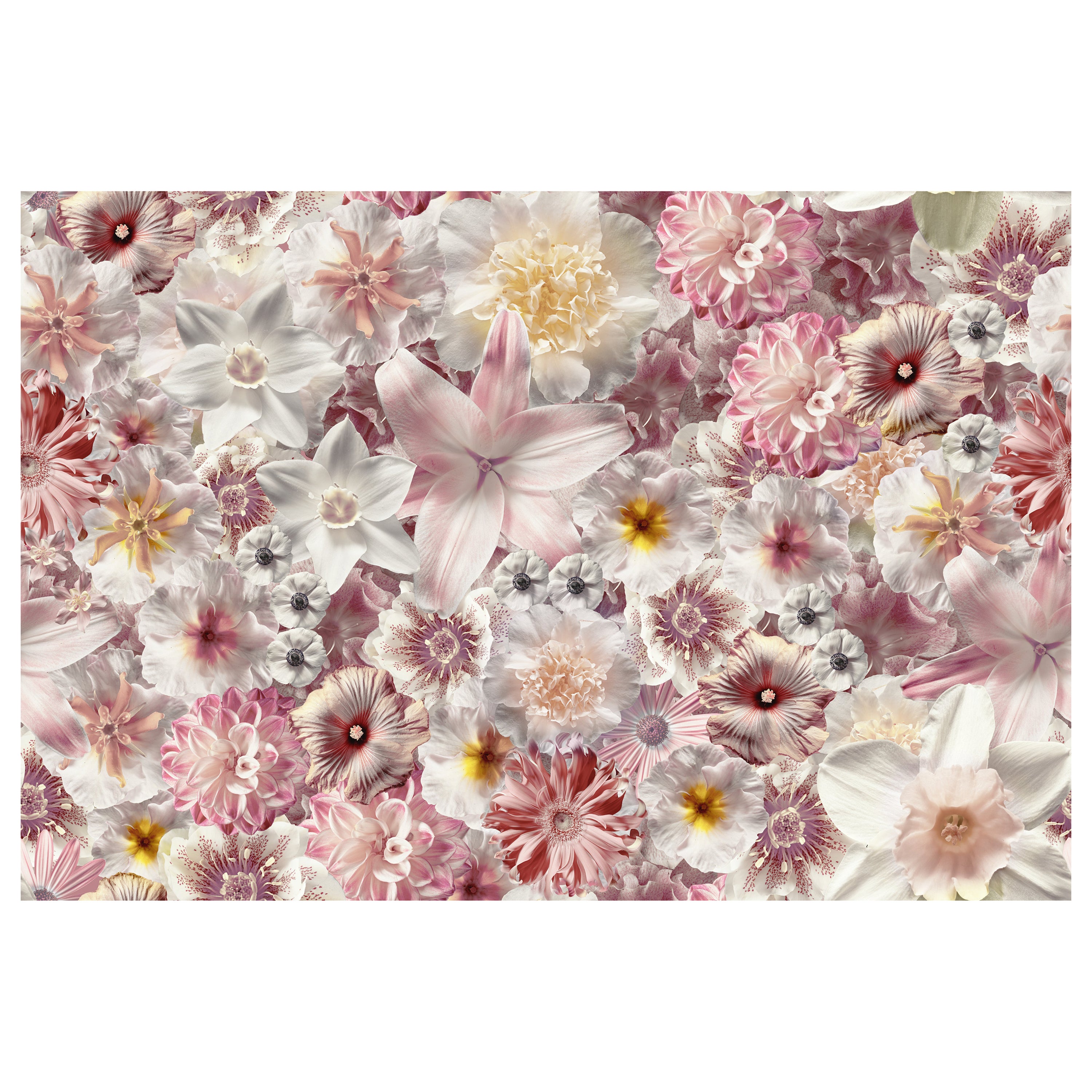 Moooi Flowergarden Broadloom Day Teppich in weichem Yarn Polyamide mit Blumenmuster