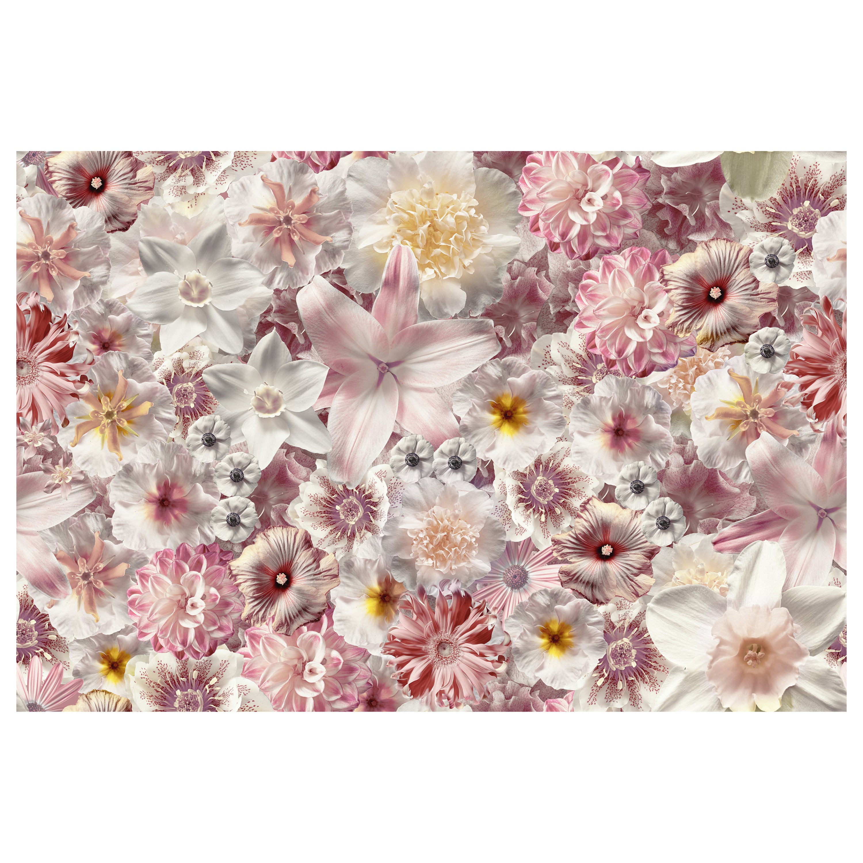 Tappeto da giorno Moooi Flowergarden Broadloom in morbido filato di poliammide in vendita