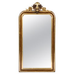 Antique 19th-Century Pale Gold and Faux Rosewood Louis Philippe Mirror