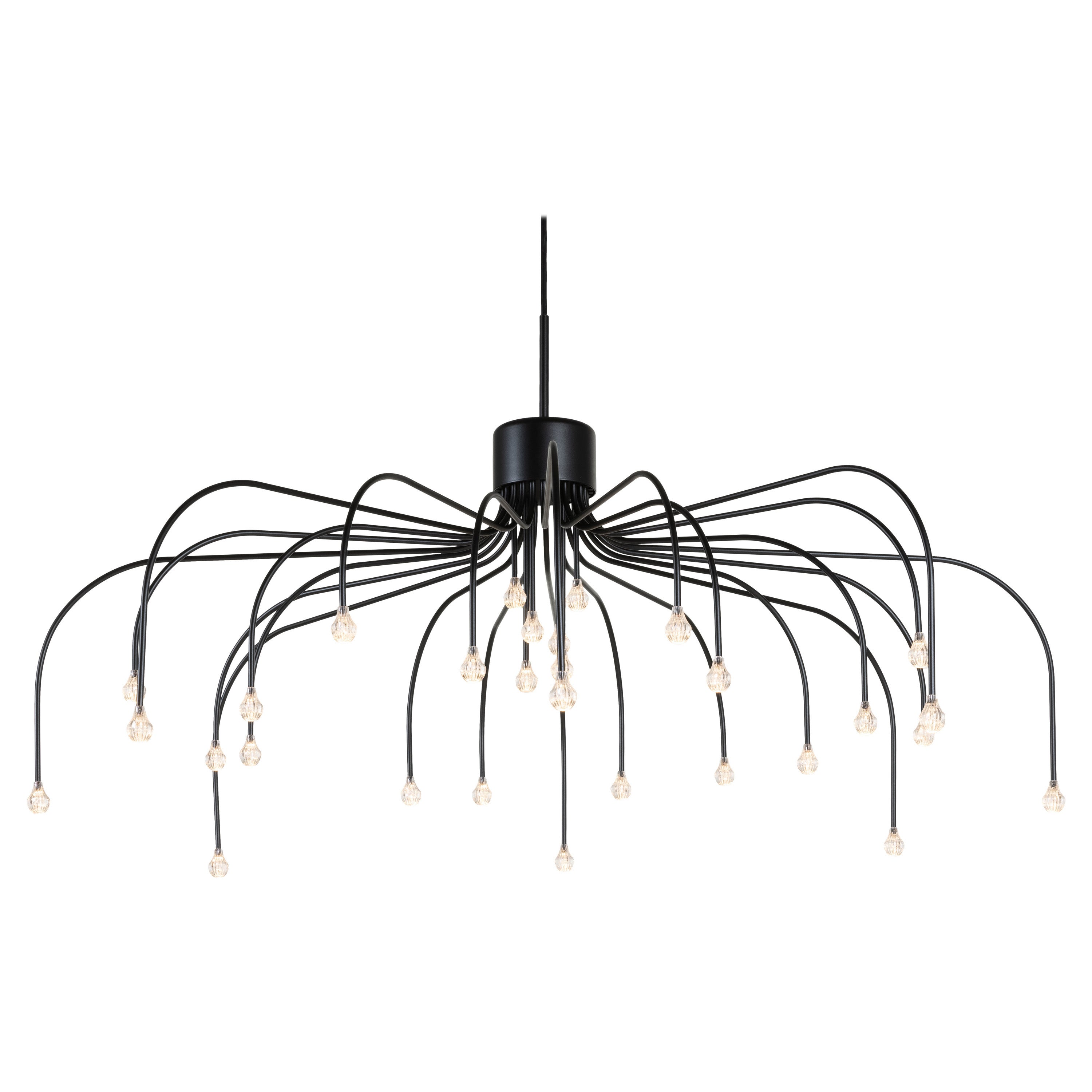Lampe à suspension circulaire Moooi Starfall Light 30 noire par Front Design