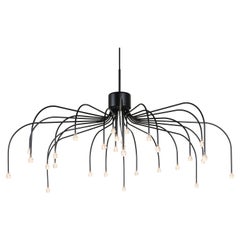 Lampe à suspension circulaire Moooi Starfall Light 30 noire par Front Design