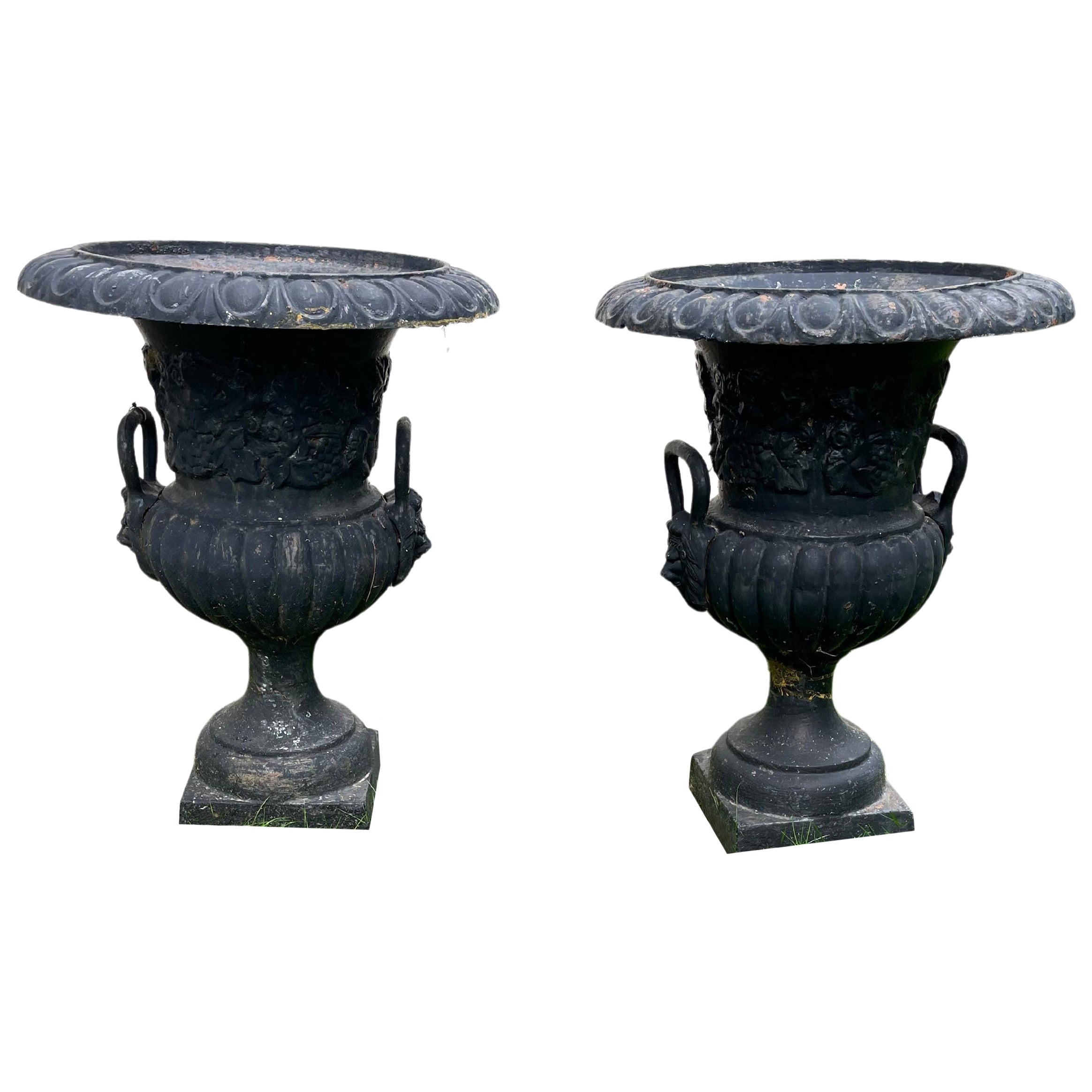Pair of Black Neoclassical Garden Urns with Lion Mask Decoration For Sale