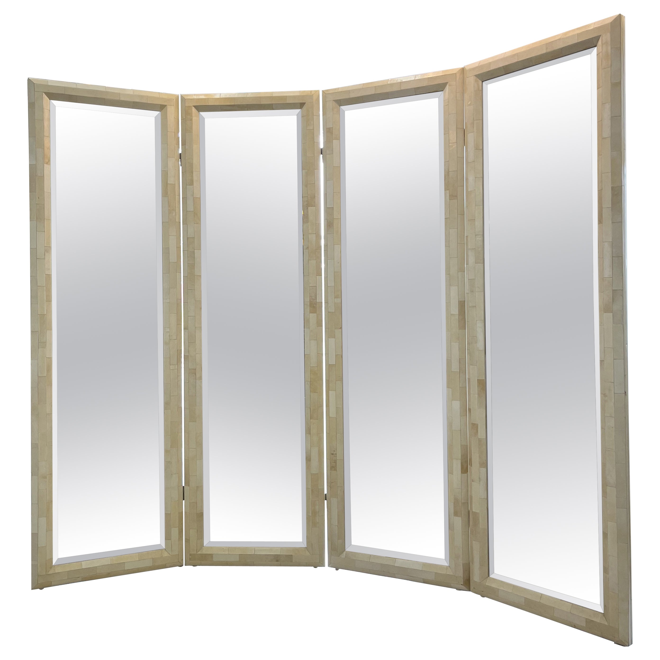 Mid Century Goatskin Mirror Room Divider