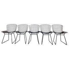 Vintage Harry Bertoia for Knoll Black Wire Chairs, a Set of 5