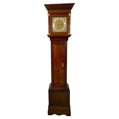 18th Century Quality Antique Oak Brass Face Longcase Clock by Benjamin Reeves