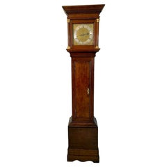 18th Century Quality Used Oak Brass Face Longcase Clock by Benjamin Reeves