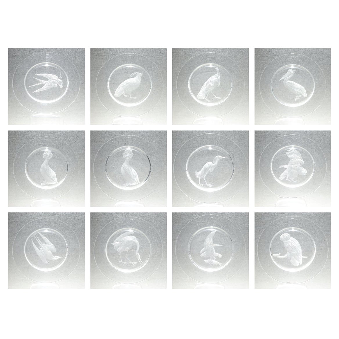 Set von 12 Audubon-Tellern aus graviertem Kristall oder Glas mit Steubenrad von Sydney Waugh