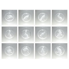 Set of 12 Steuben Wheel Engraved Crystal or Glass Audubon Plates by Sydney Waugh